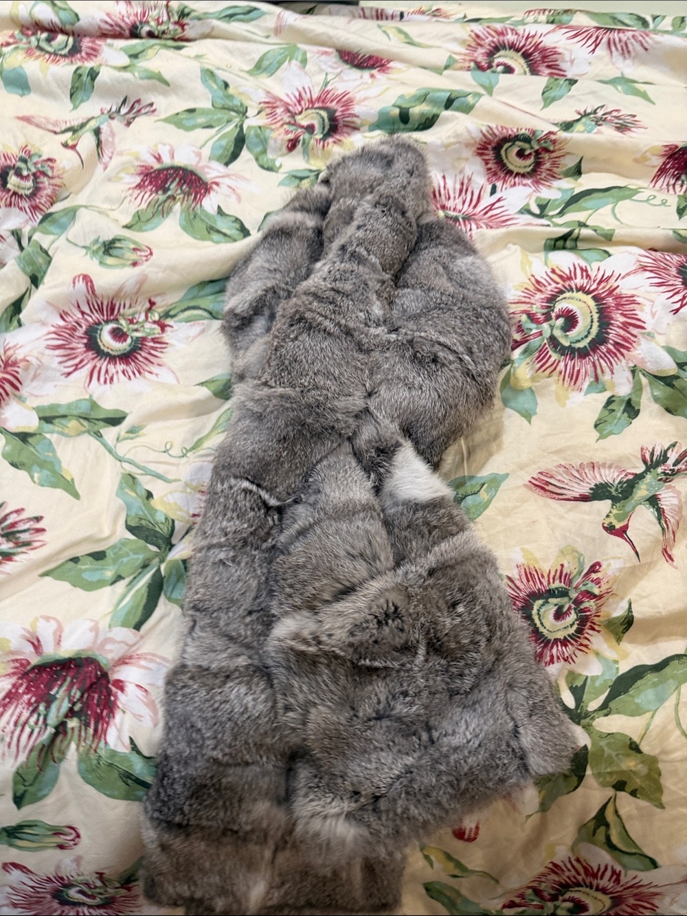 Surell Oversized Rabbit Fur Pull-Through

Gray Rabbit Fur Scarf